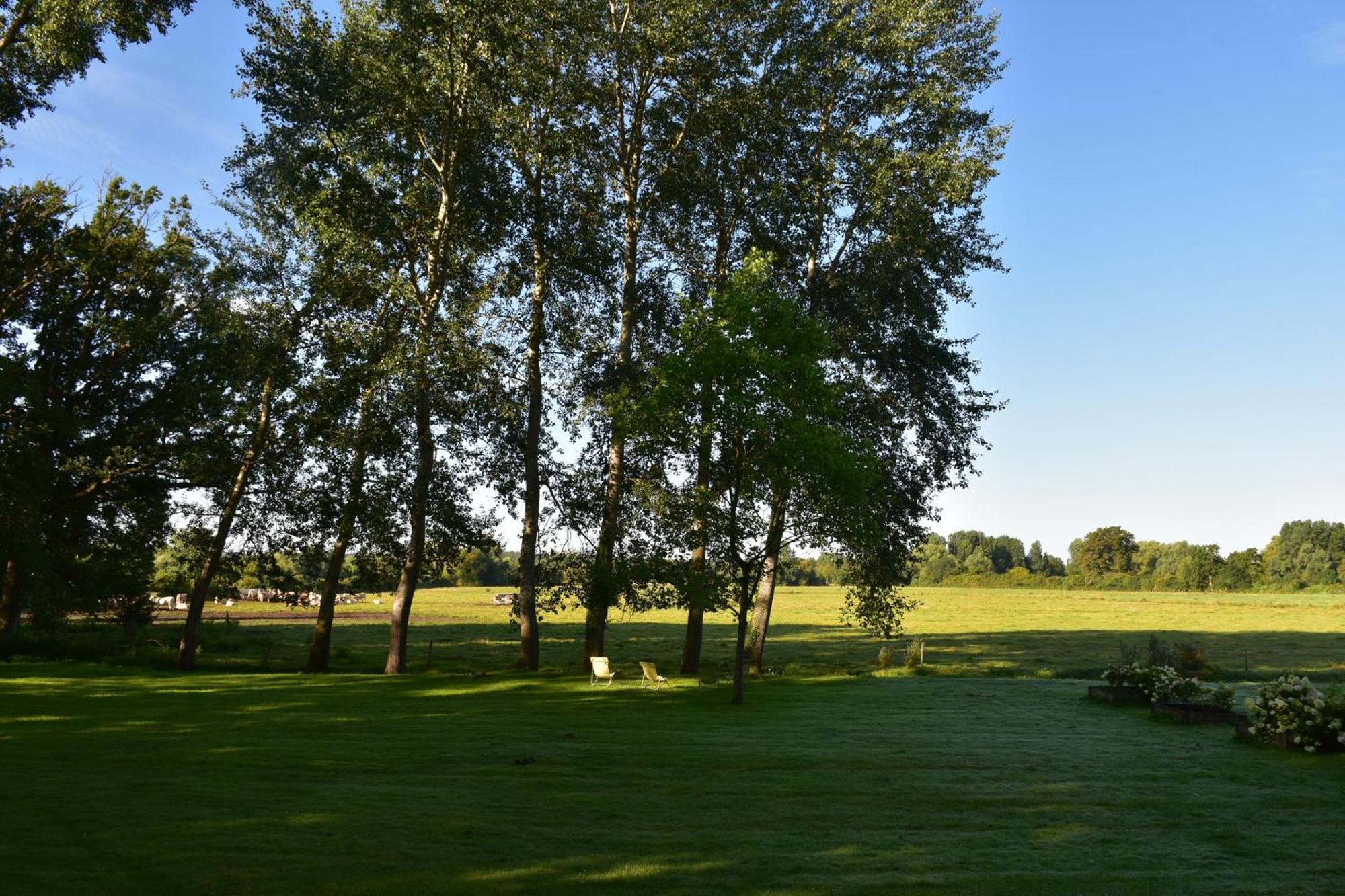 Domaine De L'Ermitage Panzió Berry-Bouy Kültér fotó