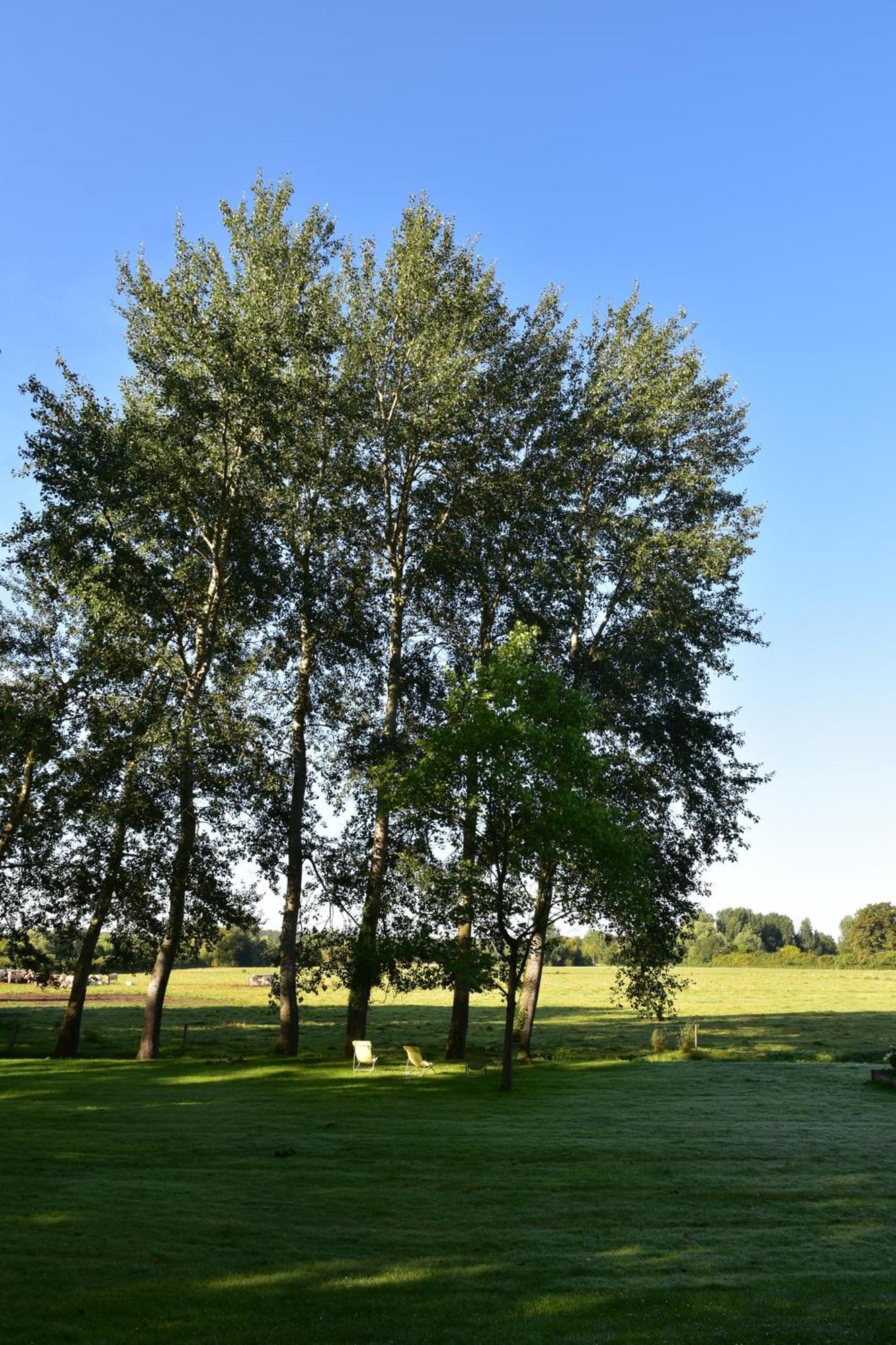 Domaine De L'Ermitage Panzió Berry-Bouy Kültér fotó