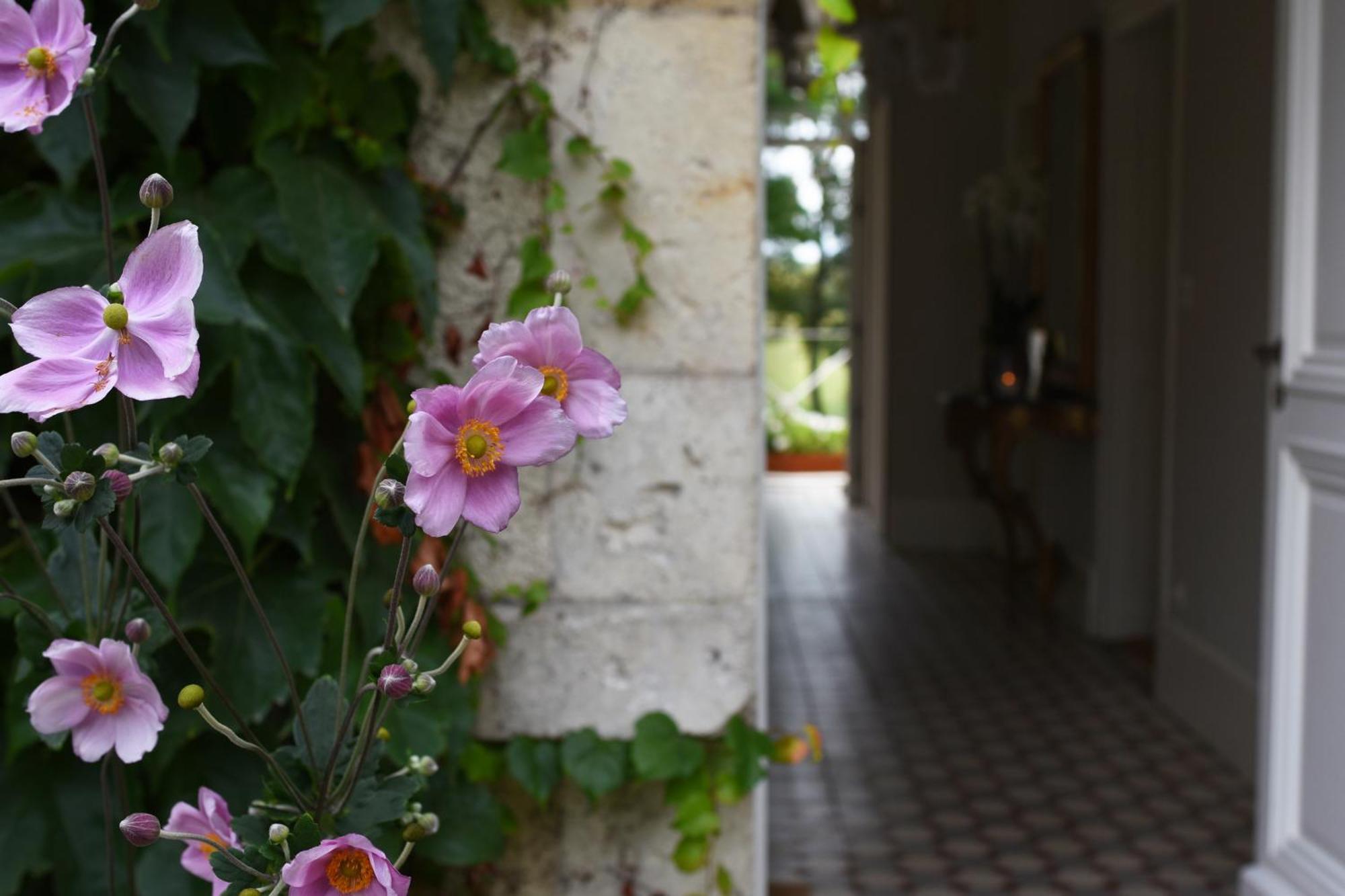 Domaine De L'Ermitage Panzió Berry-Bouy Kültér fotó